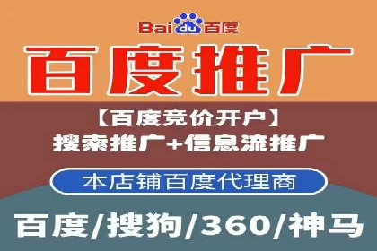 百度广告投放策略与效果评估案例